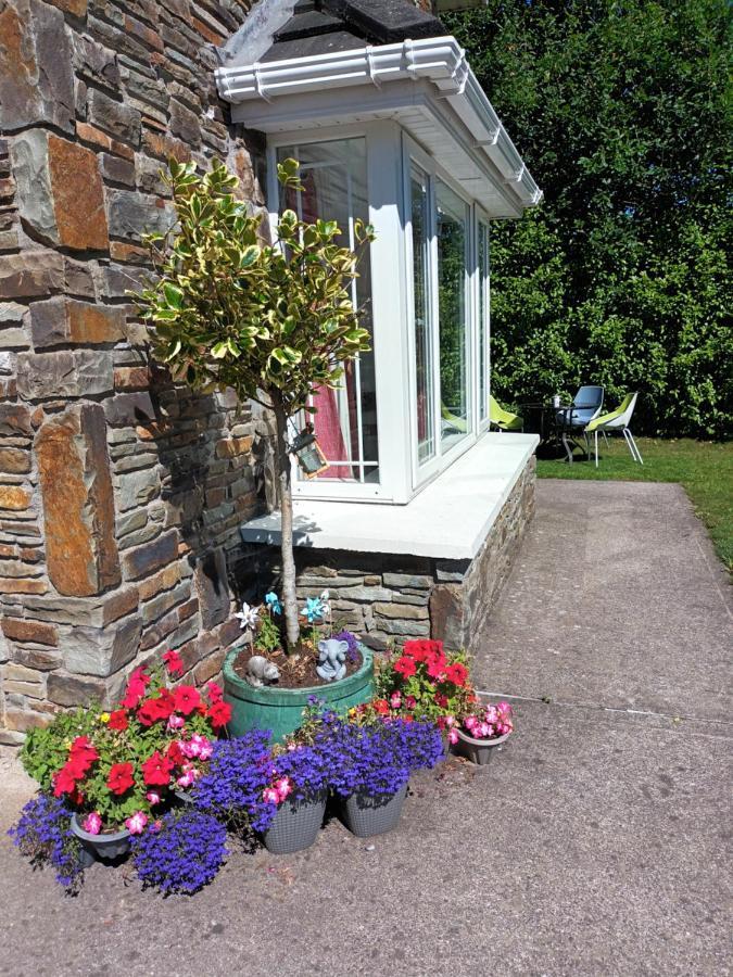 Mulberry Lodge Blarney Ngoại thất bức ảnh