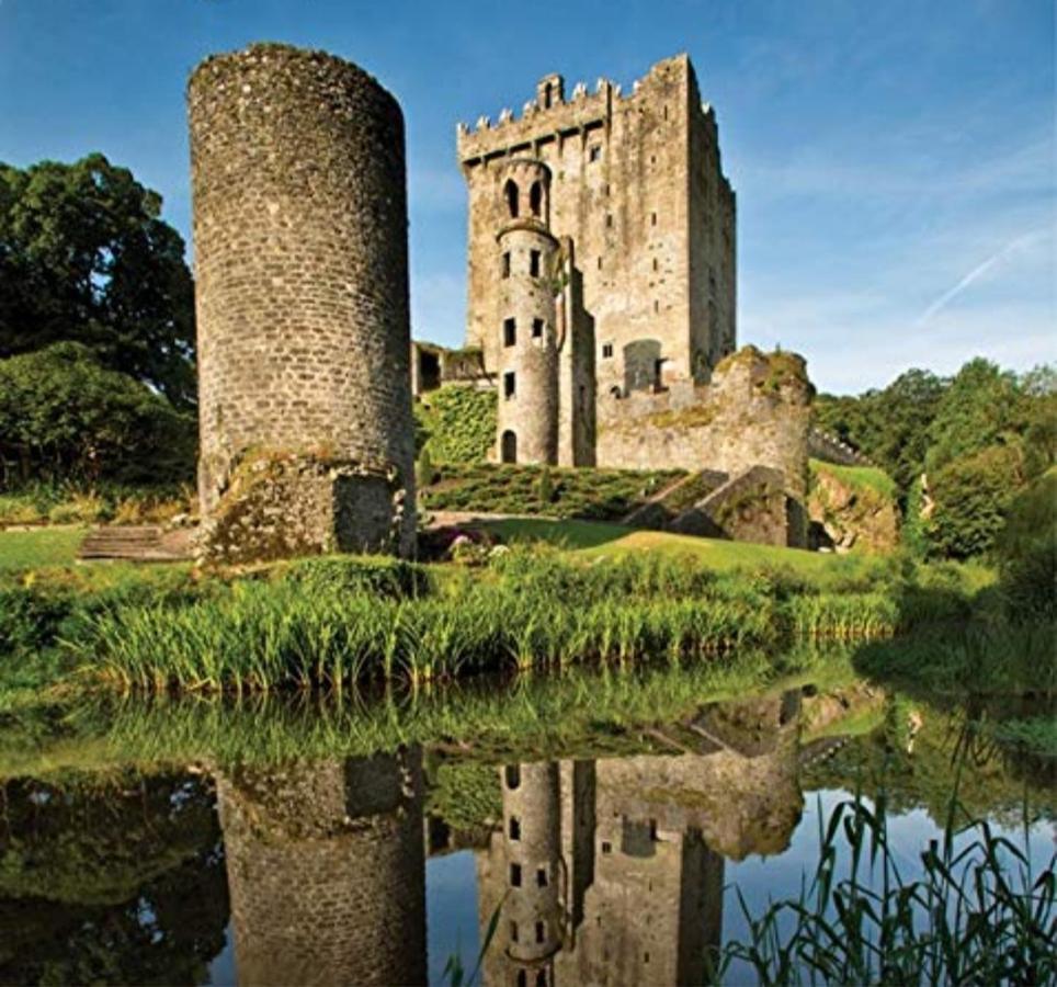 Mulberry Lodge Blarney Ngoại thất bức ảnh