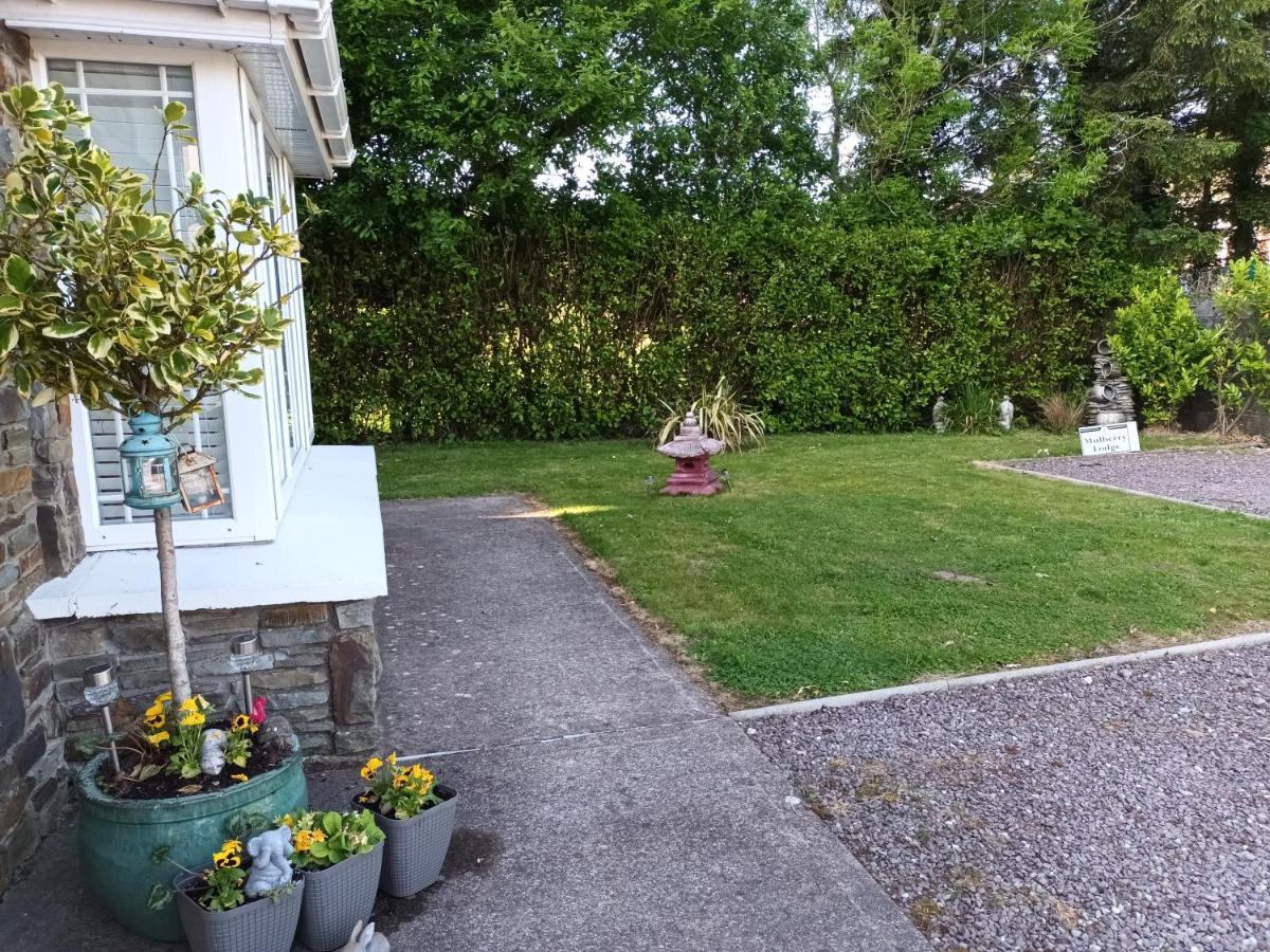 Mulberry Lodge Blarney Ngoại thất bức ảnh